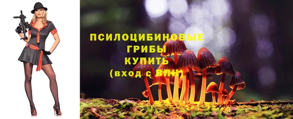 a pvp Алексин