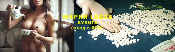 индика Алзамай
