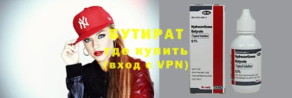 индика Алзамай