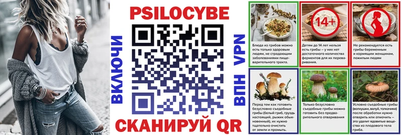 Псилоцибиновые грибы Psilocybine cubensis Ардатов